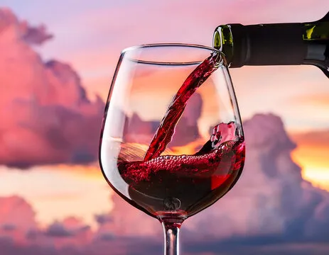 新手指南与案例演示预览